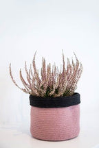 Cesta Dual Black -Ash Rose