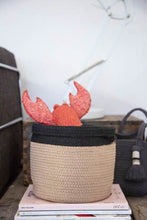 Cesta Dual Black - Linen