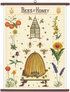 Bees and Honey Vintage School Chart