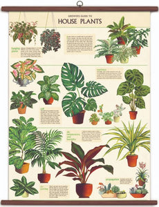 House Plants Vintage Style School Chart