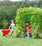 Domed Garden Fort