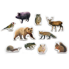 Piezas Magnéticas de Animales del Bosque
