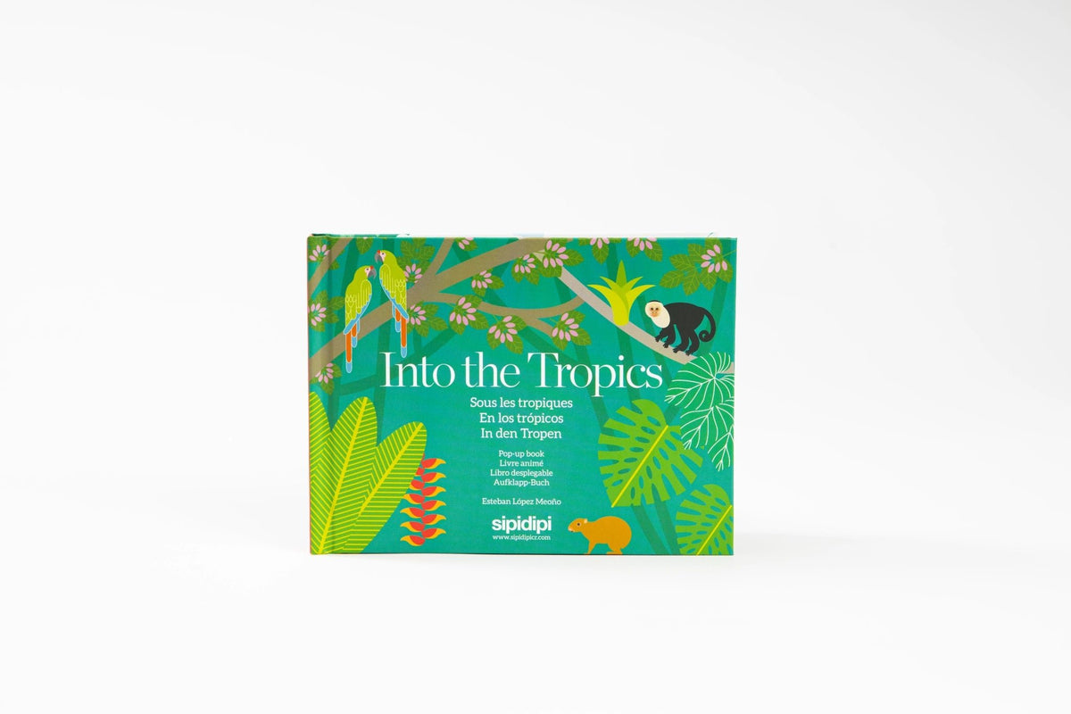 Into the Tropics