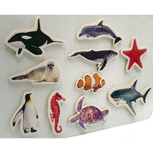Piezas Magnéticas de Animales Marinos