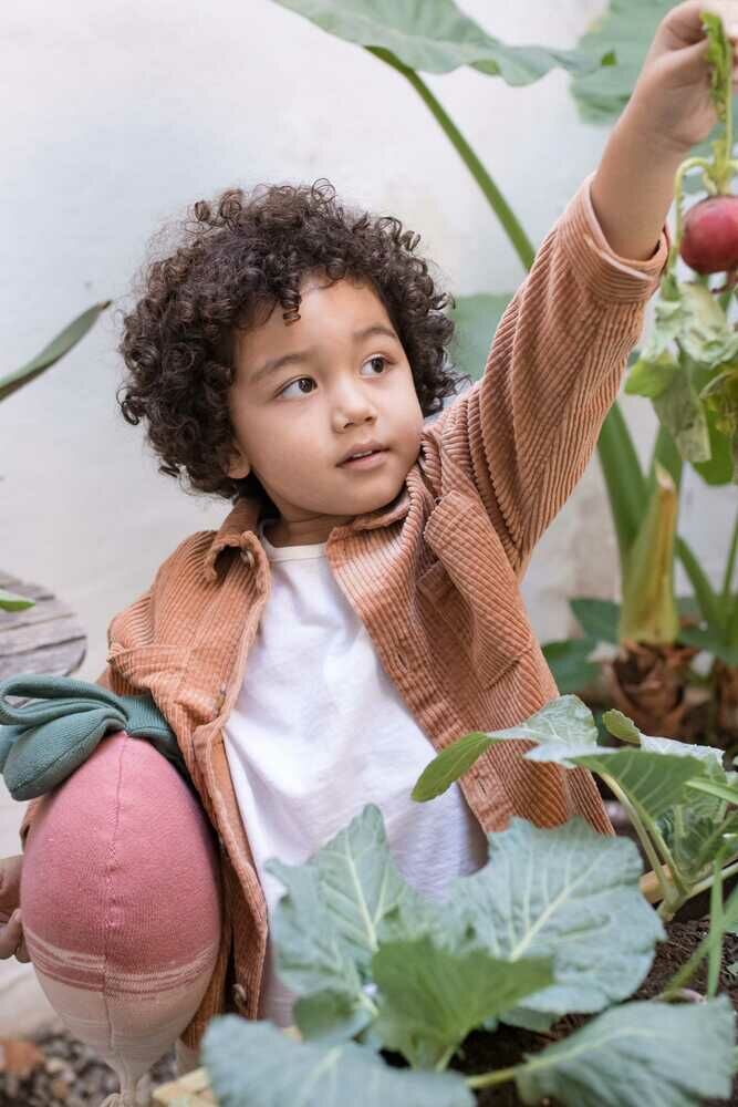 Cojín de Punto Ramona the Radish
