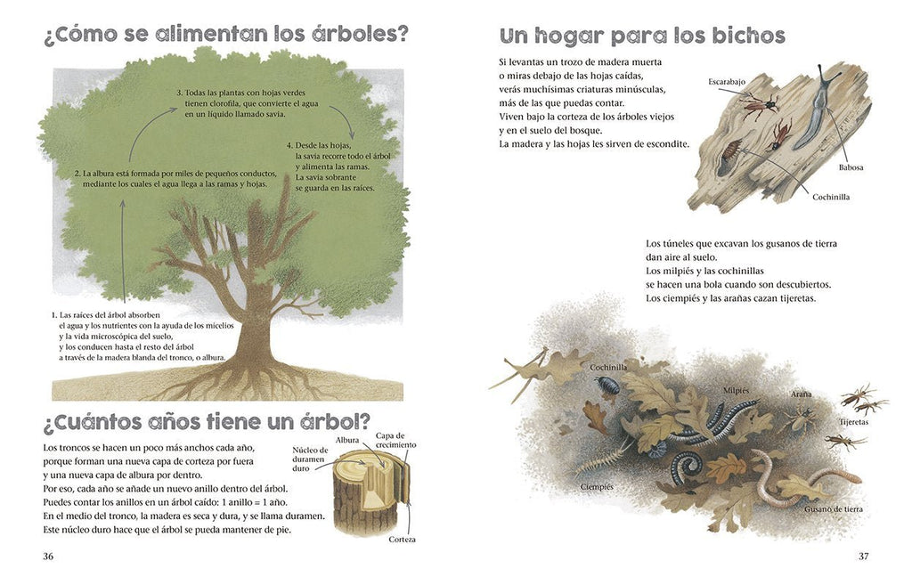 Un año alrededor del gran roble