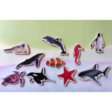Piezas Magnéticas de Animales Marinos